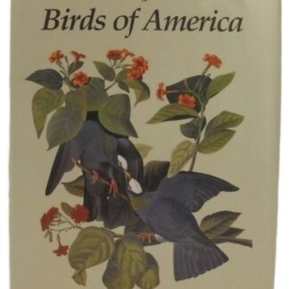 Audubon Birds Of America