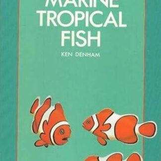 Marine Tropical Fish